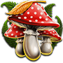 Mushroom Mushroom